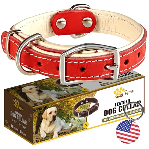 ADITYNA Heavy-Duty Leather Dog Collar for Small Dogs - Soft Padded for Comfort - Small Dog Collar for Walking, Training, and Hiking - color: Red, size: Small: Fit 10-14.5" Neck