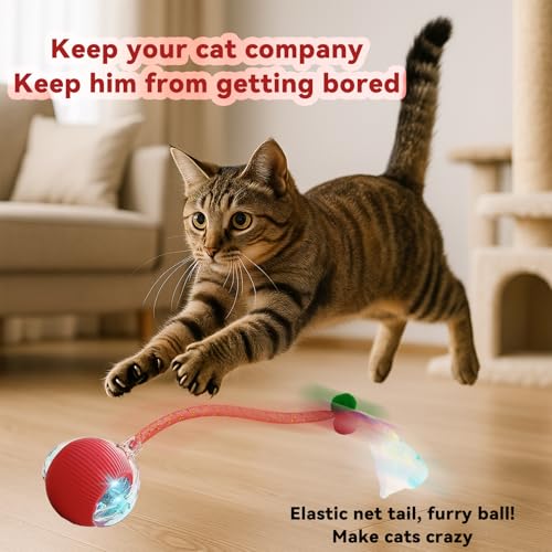 Speedy 2.0 Tail Interactive Cat Toys for Indoor Cats, Automatic Cat Toy with Elastic Mesh Tail, Electric Rolling Ball on Carpet, Chirping and Motion Activate Cat - color: Pink