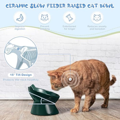 Funnymoom 2 Pcs Ceramic Raised Slow Feeder Cat Bowl, 5.91inch Elevated Cat Slow Feeder Bowl Tilted Anti Vomiting for Dry Wet Food and Water Easy to Clean High Edge(Dark Green, Blue) - color: Dark Green, Blue
