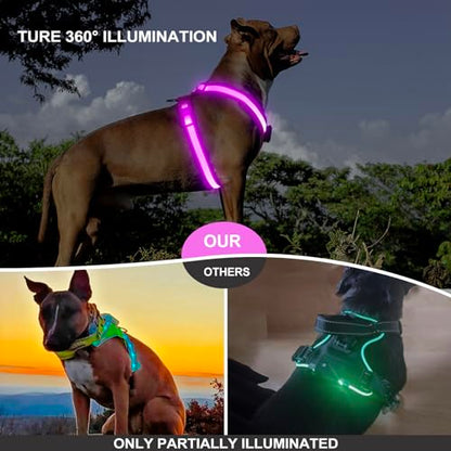 Light Up Dog Harness, LED Dog Harness Rechargeable, Glow in the Dark, LED Dog Vest Reflective, Light Up Harness for Dogs, Dog Lights for Night Walking, Pink, XL - color: Pink