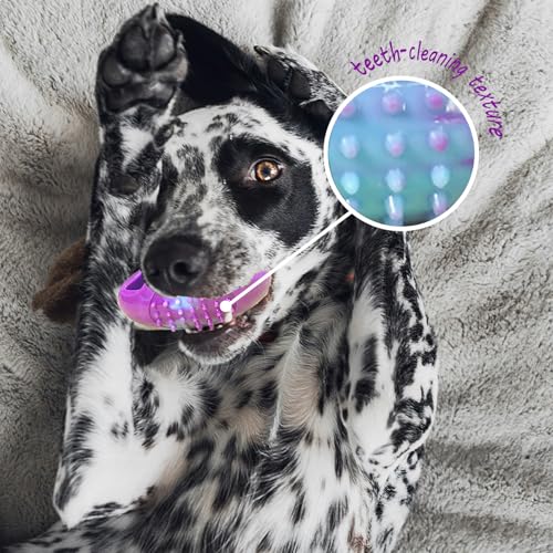 3 Pack TPR Rubber Chew Toys for Puppy, Small Dog & Senior Dog | Stuffable, Freezable Interactive Dog Toys for Treat Dispensing | Soothing Teething, Anxiety Relief & Dental Cleaning