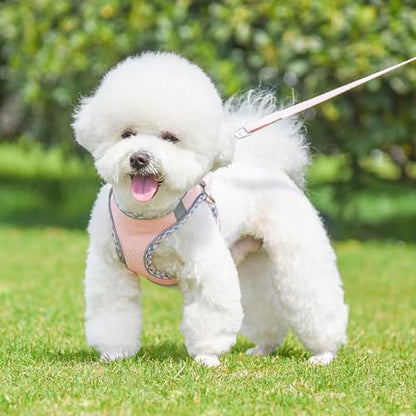 Dog Harness and Leash Set, No Pull Soft Mesh Pet Harness, Reflective Adjustable Puppy Vest for Dogs/Cats - color: Pink, size: Small