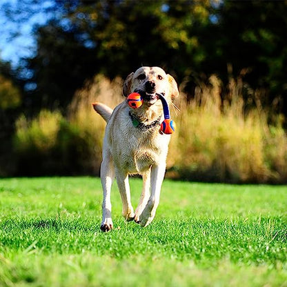 Chuckit! Ultra Duo Tug Dog Toy, Small Indoor and Outdoor Dog Ball for Dogs 0-20 Pounds - size: Small, style: Ultra Duo Tug