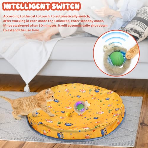 Interactive Cat Toy Ball,360° Self Rolling Cat Ball with Led Light,Rechargable Automatic Motion Activated Moving Toy with 3 Working Modes,Type-c Rechargeable