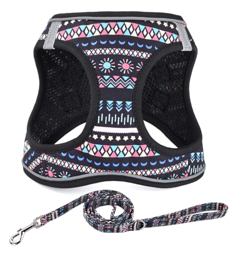Step in Dog Harness and Leash Set, Reflective Adjustable No Pull Dog Harness for Extra-Small/Small Dogs Puppy and Cats, Soft Padded Mesh Vest Harnesses for Girl and Boy Pets(Black Bohemia,XS) - color: Black Bohemia, size: XS-Chest:12.6-14.2inch
