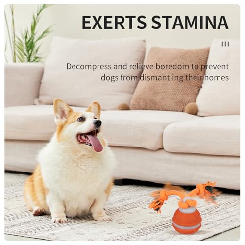 Interactive Dog Toys Dog Ball,Automatic Rolling and Bouncing Moving Dog Toy,Squeaky Rolling Balls with Flashing Light,USB Rechargeable Chew Toys for Puppy Small Dogs, Pet Ball to Keep Them Busy - color: 1 Orange