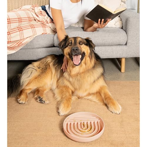 Should We Go? Slow Feeder for Dogs & Puppies, The Slowdown Bowl Silicone Slow Eating, Modern Lick Mat Design, Reduces Gulping, Fits 2.5 Cups, 9.5” Across x 1.5” Tall, Mealtime Challenge, Large-Blush - color: Blush - Rainbow Design, size: Large (9.5” Acros
