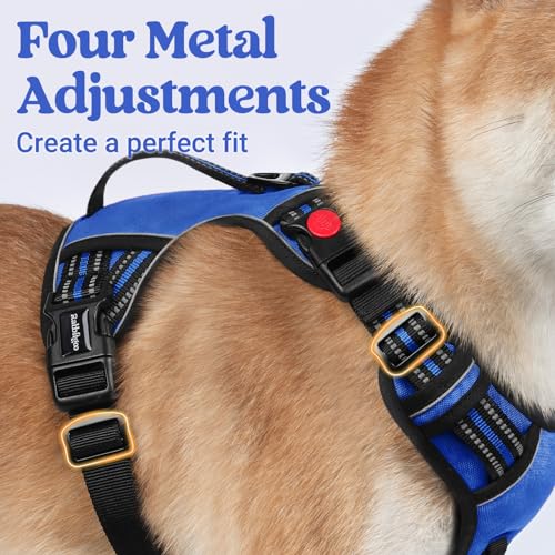 rabbitgoo Dog Harness for Large Dogs, No Pull Pet Harness with Soft Padded Handle, Adjustable Reflective Vest with 3 Buckles, Easy Walking Harness with 2 Leash Clips, Blue, L - color: Blue, size: Large