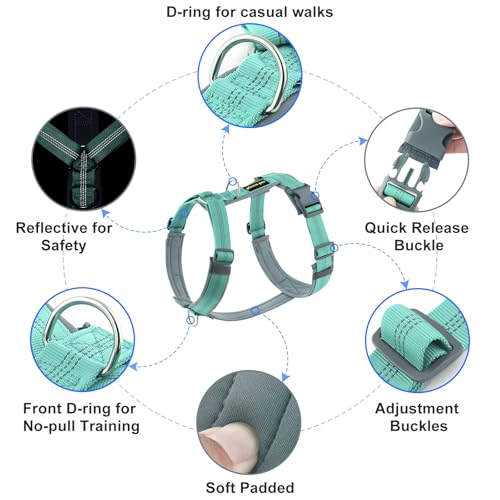 Plutus Pet No Pull Dog Harness, Adjustable Nylon Harness with Soft Padding, Reflective and Heavy Duty Dog Harness for Small, Medium, Large Dogs(Teal, XS) - color: Teal, size: XS