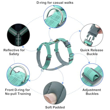 Plutus Pet No Pull Dog Harness, Adjustable Nylon Harness with Soft Padding, Reflective and Heavy Duty Dog Harness for Small, Medium, Large Dogs(Teal, XS) - color: Teal, size: XS