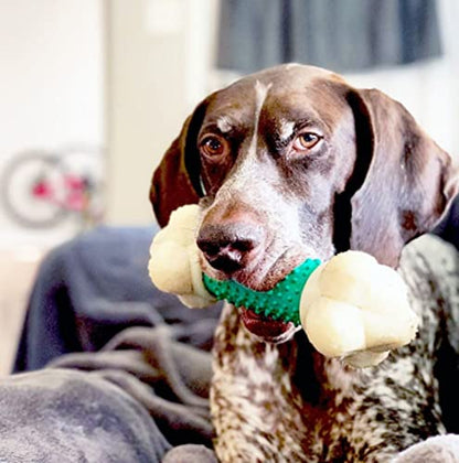 Nylabone Double Action Bone Power Chew Toy for Dogs, Dog Toys for Aggressive Chewers, Bacon Flavor, X-Large - 50+ lbs, 1 Count - size: X-Large