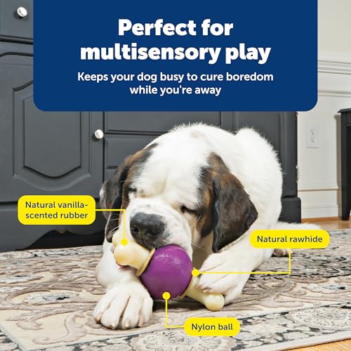 PetSafe Busy Buddy Bouncy Bone, Treat Holding Dog Toy, Large, Best for Dogs Over 75 Lb. - size: Large, style: 3-in-1 Slow Feeder Toy