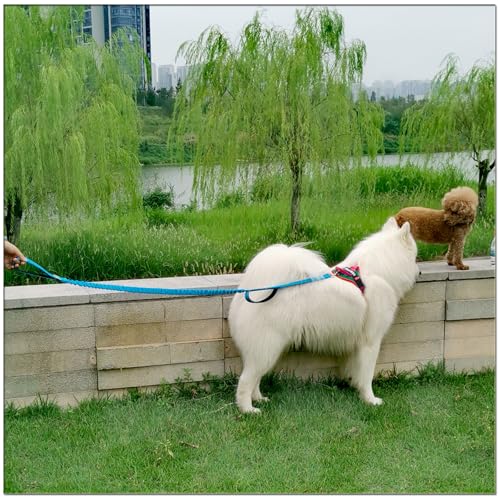 5FT Bungee Dog Leash with 2 Handles, Reflective Strong Nylon Traffic Leash, Shock Absorbing Lead for Large Medium Dogs Walking Training Controlling, Blue - color: Blue
