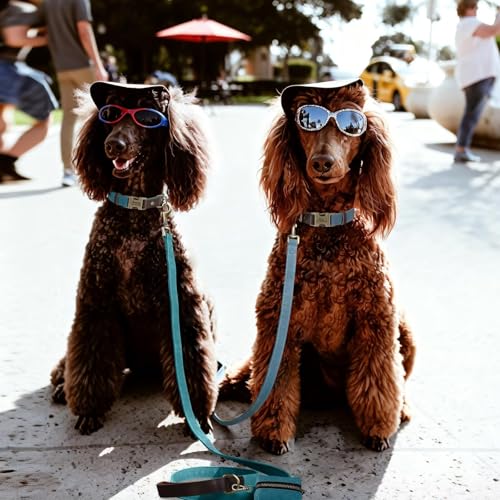 Personalized Dog Collars, Custom PU Leather Dog Collar with Name&Phone Number, Engraved Dog Collar for Medium Dogs, Adjustable Durable Collar with Quick Release Metal Buckle, Denim Blue,M - color: Denim Blue, size: M: Neck 14-19", Width 0.8"