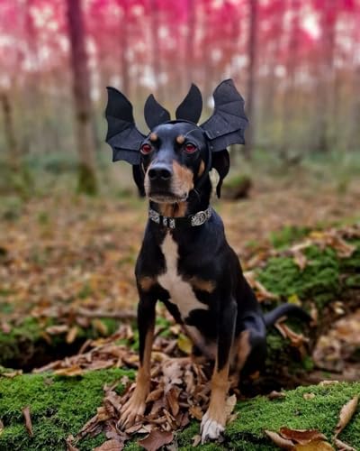 Cute Dog Collar, Halloween Dog Collar for Large Dogs - color: Halloween-2, size: L