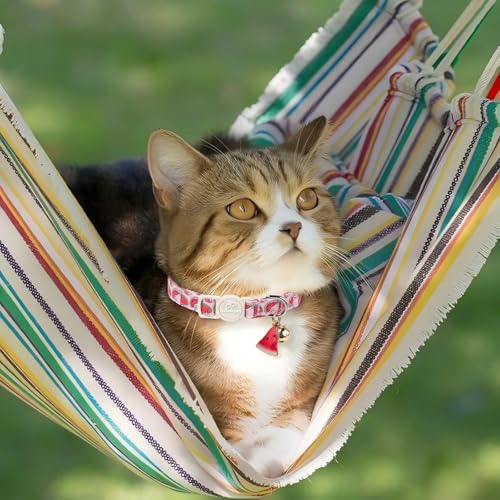 2 Pack Summer Cat Collars - Lavender GRAP & Pink Watermelon Breakaway Safety Cat Collars, Adjustable Soft Boy Girl Kitten Collar for Small Dogs Puppy, Cute Pet Collar with Bell & Pendant - color: Grap&Watermelon