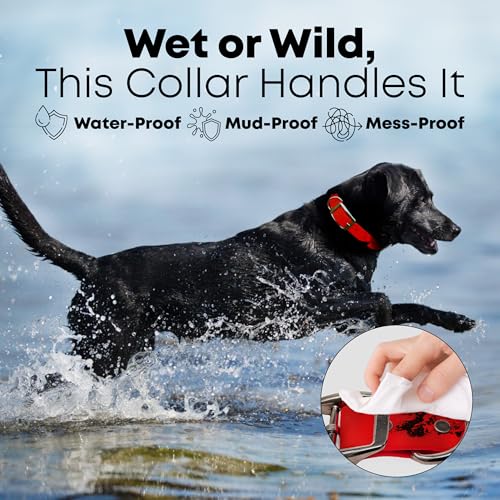 Regal Dog Products Large Red with Custom Engraved Waterproof Dog Collar and Leash Set | Waterproof Dog Collar with Double Buckle & D Ring - 5'ft Leash | Matching Dog Collar and Leash for Dogs - color: Red, size: Large Collar with leash
