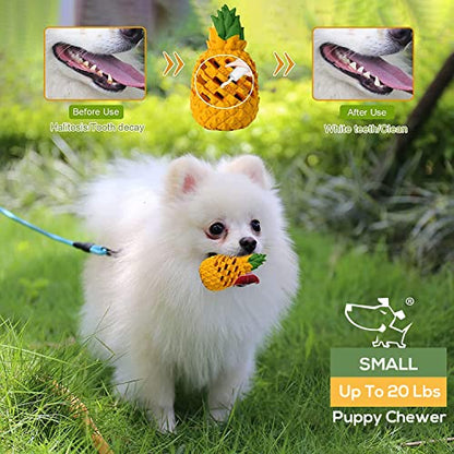 M.C.works Puppy Chew Toys, Dog Chew Toys for Average Chewer, Tough Dog Dental Chews Toy, Indestructible Toys for Small Dogs, 20-40 Pounds, Small - size: 4.3 In