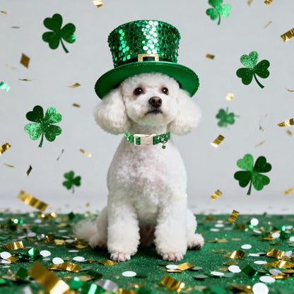 St. Patrick's Day Dog Collar for Small Dogs - Bold Green Lucky Clover Dog Collars, Cute Irish Party Shamrock Puppy Collar, Lightweight Adjustable St. Patricks Day Pet Collars XS - color: Bold Green Clover, size: XS