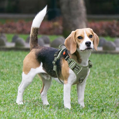 Dog Harness Small Sized, No Pull Pet Harness with Neck Lockable Snap,No Choke Front Clip Dog Reflective Vest,Adjustable Metal Rings 3 Buckles,Easy Control Handle for Small Dogs Green S - color: Lock Green, size: Small (Pack of 1)