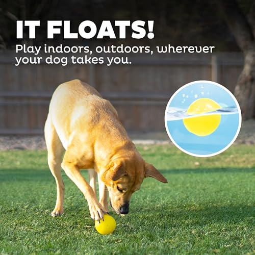 Outward Hound by Planet Dog Squeak Ball Bouncy Fetch Dog Toy, Yellow - color: Yellow Squeak Toy