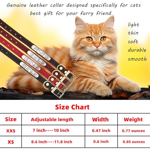 Personalized Leather Cat Collar,Custom with Name Plate and Bell for Boy and Girl Kitten/Cat(XXS,Red) - color: Red, size: XXS