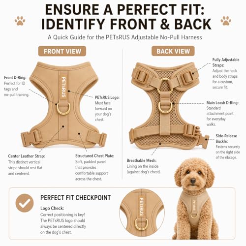 Premium No-Pull Dog Harness Soft Neoprene & Breathable Mesh Vest with Front & Back Clip D-Rings Adjustable Lightweight Walking Harness for Puppies, Small & Medium Dogs (Beige, L) - color: Beige, size: L: Neck=16.5-22''/Chest=22.4-32.7''