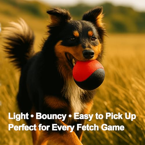 Squeaky Dog Toy – Durable Rubber Dog Ball for Medium & Large Dogs, Tough Interactive Fetch Toy for Chewers, Outdoor Training & Play Ball, Floating Water Play Gift.Red Black - color: Red Black