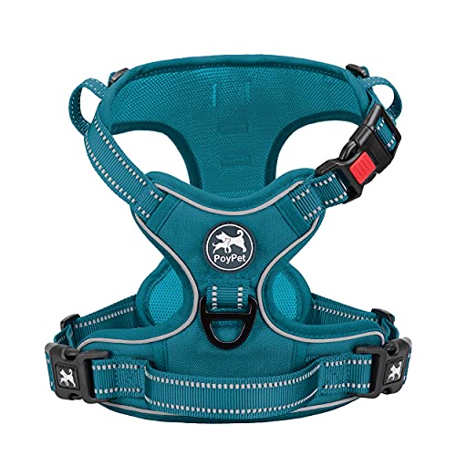 PoyPet No Pull Dog Harness, No Choke Reflective Dog Vest, Adjustable Pet Harnesses with Easy Control Padded Handle for Small Medium Large Dogs(Tumalo Teal,XS) - color: Tumalo Teal, size: XS