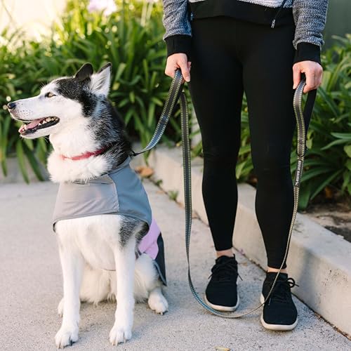 Eddie Bauer E24602 Flat Reflective Dog Leash with Padded Assist Handle 6-Feet Long, Grey