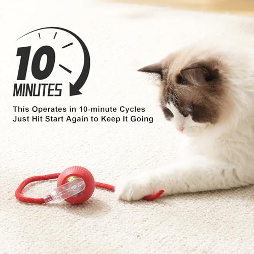 Goosheep 2025 New 3Pack Cat Ball Kitten Toys for Indoor Interactive Kitty Ball Toy Speedy Tail 360° Automatic Rolling(Red Grey Green) - size: 3 Pack