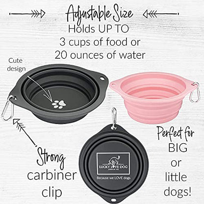 Lucky Love Dog Travel Bowl, Collapsible Compact Water Dog Dish (Grass) - color: Grass