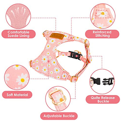Lukovee Puppy Harness and Leash Set, No Pull Lightweight Soft Suede Adjustable Pet Harness Vest with Snap Buckle for Puppy Small and Medium Size Dog (Pink-XXS) - color: Pink Daisy, size: XX-Small ( 2.2-6lb )