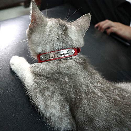 Personalized Leather Cat Collar,Custom with Name Plate and Bell for Boy and Girl Kitten/Cat(XS,Black) - color: Black, size: XS