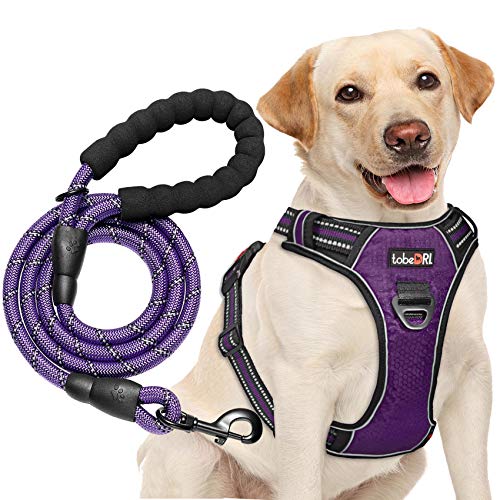 tobeDRI No Pull Dog Harness Adjustable Reflective Oxford Easy Control Medium Large Dog Harness with A Free Heavy Duty 5ft Dog Leash - color: Purple Harness+Leash, size: Medium