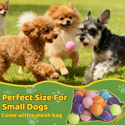 20 Pack Tennis Balls for Dogs, 2 inch Dog Toy Ball with Mesh Bag, Small Tennis Balls Pet Dog Playing Ball for Pet Puppy (5 Color)