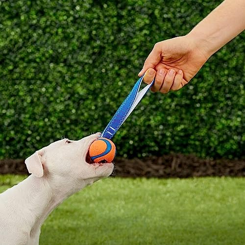 Chuckit! Ultra Tug Dog Toy, Small Fetch and Dog Ball Tug Toy for Dogs 0-20 Pounds - size: Small, style: Ultra Tug