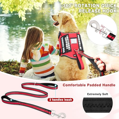 Service Dog Vest Harness and Leash Set+10 Patches,No Pull&Adjustable Reflective Dog Harness with Soft Padded Handle for Training/Everyday,Fit Small/Medium/Large/Extra-Large Dogs(Red L) - color: Red, size: Large