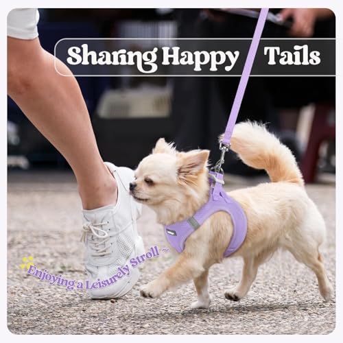 rabbitgoo Dog Harness Small Sized and Leash Set, Step in Soft Light Puppy Vest, Breathable Mesh Pet Harness, Reflective for Safe Easy Walking, Light Purple M - color: Light Purple, size: M (chest: 16 - 18.5")