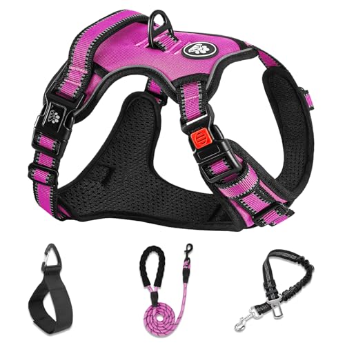 No Pull Dog Harness,Adjustable Oxford Dog Vest Harness with Leash,Reflective No-Choke Pet Harness with Easy Control Soft Handle for Small Dogs(Small,Fuchsia Pink) - color: Fuchsia Pink, size: 【S】neck 11-15" chest 15-21"