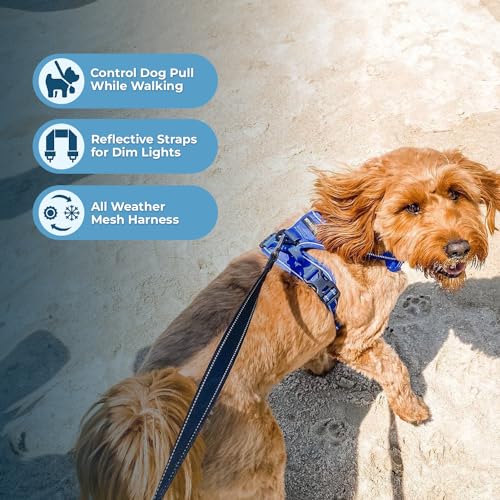 Voyager Dog Harness Dual Leash Attachment No-Pull Control Adjustable Soft but Strong Pet Harness for Medium and Large Dogs with 3M Reflective Technology, Leash Set Royal Nylon, S (Chest: 16-20") - color: Leash Set Royal Nylon, size: S (Chest: 16 - 20")