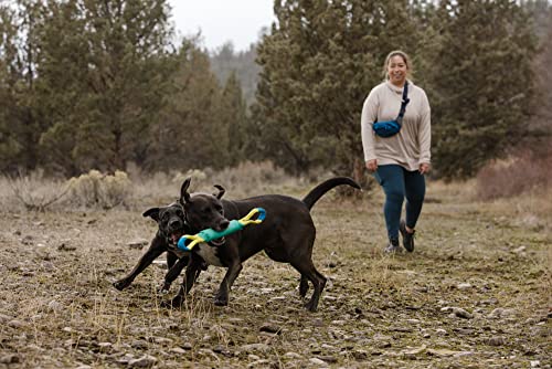 Ruffwear, Pacific Loop Dog Toy, Interactive Tug Toy for Playing and Training, Aurora Teal - color: Aurora Teal