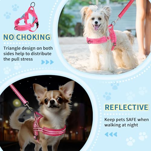 Lukovee No Pull Dog Harness and Leash Set, Soft Padded Small Dog Harness, Neck & Chest Adjustable Reflective Vest Puppy Harness with 4ft Lightweight Anti-Twist Dog Leash for Small Dogs (XS, Pink) - color: B-pink, size: XS ( Chest 14'' ~ 18'')