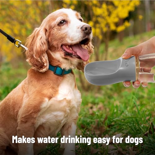 Mr. Pen- Portable Dog Water Bottle, 19 oz, Large, Leak Proof Puppy Water Dispenser with Drinking Feeder for Pets, Outdoor Walking, Hiking, Travel, Not Dishwasher Safe - color: Gray