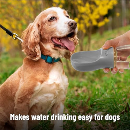 Mr. Pen- Portable Dog Water Bottle, 19 oz, Large, Leak Proof Puppy Water Dispenser with Drinking Feeder for Pets, Outdoor Walking, Hiking, Travel, Not Dishwasher Safe - color: Gray