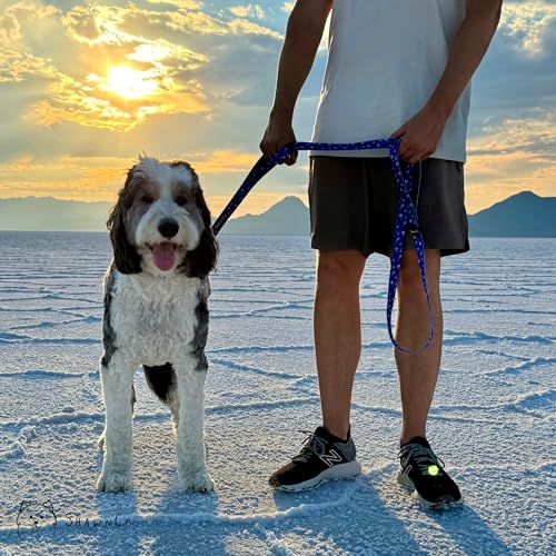 ShawnCo Dream Walk Dog Leash- Premium, Nylon Pet Leash with Soft Neoprene Handle for Small, Medium and Large Dogs (ICY Lilac, M/L 6FT w/ 2 Handles) - color: Icy Lilac, size: M/L 6FT w/ 2 Handles