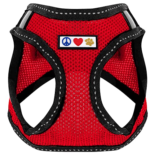 Pawtitas Dog Vest Harness Made with Breathable Air Mesh | All Weather Vest Harness for Extra Small Puppies and Large Cats with Quick-Release Buckle - Extra Small Red Mesh Dog Harness - color: Red, size: X-Small (Pack of 1)