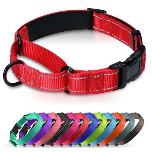Martingale Collar for Dogs with Quick Release Buckle, Reflective Soft Padded & Escape Proof, Adjustable Nylon Dog Collars for Training & Daily Walking (Red,XS) - color: Red, size: XS:width 5/8"neck 10.5-12"