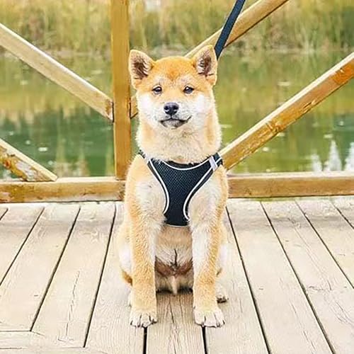 Dog Harness and Leash Set, No Pull Soft Mesh Pet Harness, Reflective Adjustable Puppy Vest for Dogs/Cats - color: Black, size: Small