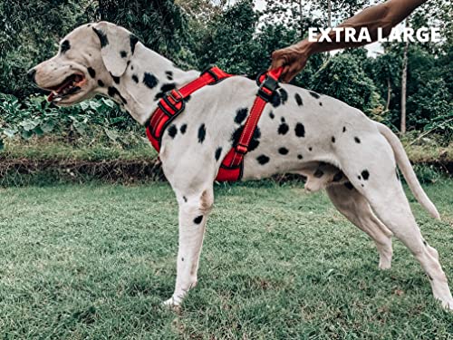 Tuff Pupper No Pull Easy Walk Dog Harness | Heavy Duty Pet Vest | Front & Back Leash Clips | Strong Safety Handle | Reflective Anti Pull Vest | Comfortable Padded Escape Proof Harness (X-Large, Red) - color: March Red, size: X-Large (Neck: 20-30" , Chest: